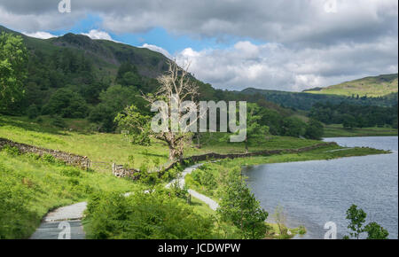 Rydal acqua ai primi di giugno nel Parco Nazionale del Distretto dei Laghi, Cumbria. Foto Stock