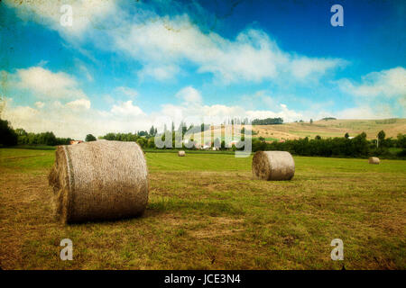 Paesaggio di fieno-rotolo sul campo dopo il raccolto Foto Stock