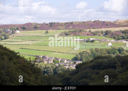 West Yorkshire, Regno Unito 31 Ago: Hillside rosa con heather in fiore su 31 Ago 2014 al serbatoio Digley, Holmeforth, Holme Valley Foto Stock