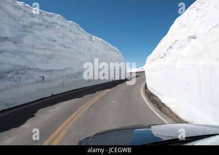 Vista dei banchi di neve nei primi giorni di giugno sui lati della Beartooth Highway, tutti American scenic autostrada tra Cooke City e Red Lodge Montana, USA Foto Stock