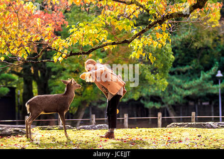 NARA, Giappone - Nov 21: Visitatori feed cervi selvatici il 21 aprile 2013 a Nara, Giappone. Nara è un importante destinazione turistica in Giappone - ex pro capite di città e attualmente il Sito Patrimonio Mondiale dell'UNESCO. Foto Stock