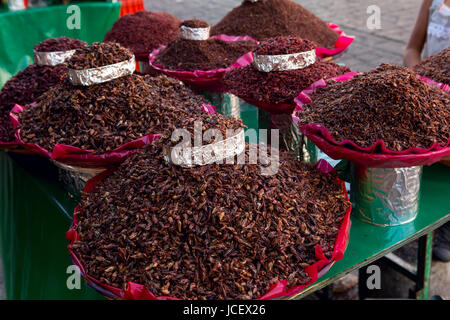 Pile di essiccato le chapulines in Oaxaca mercato alimentare di Messico Foto Stock