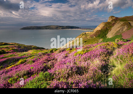 Il Great Orme & Llandudno Conwy dalla montagna in estate, Conwy, Galles del Nord, Regno Unito Foto Stock