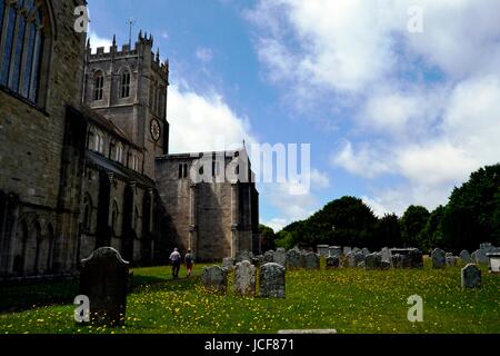 Christchurch, Dorset, Regno Unito. Il 15 giugno, 2017. Tempo soleggiato in Christchurch UK Credit: Ajit stoppino/Alamy Live News Foto Stock