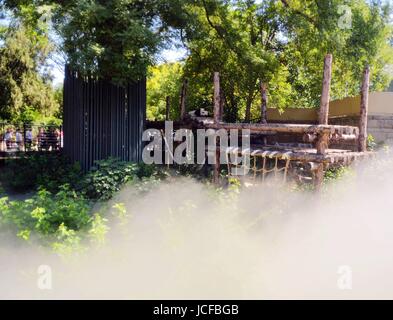 Beijin, Beijin, Cina. Il 9 giugno, 2017. Pechino, Cina-9 Giugno 2017: (solo uso editoriale. Cina OUT) .un panda gode di fresca estate presso lo Zoo di Beijing, Giugno 9th, 2017.Allo Zoo di Pechino prendere varie misure per fornire un ambiente fresco per animali. Credito: SIPA Asia/ZUMA filo/Alamy Live News Foto Stock