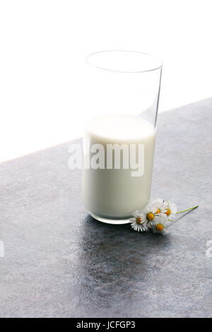 Bicchiere di latte e margherite Foto Stock