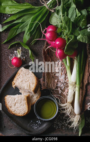 Pranzo rustico colazione con giovani freschi ortaggi ravanello, cipolline, foglie di aglio, sale e olio di oliva e il pane sulla corteccia di legno più scuro incontrato texture Foto Stock