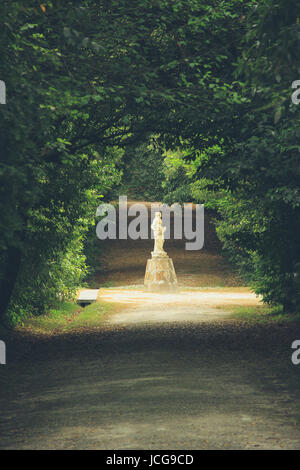 Sentiero natura circondato da alberi nella foresta di autunno Foto Stock