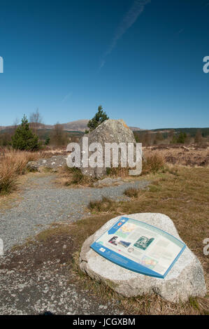 Robert the Bruce della pietra su Raploch Moss Foto Stock