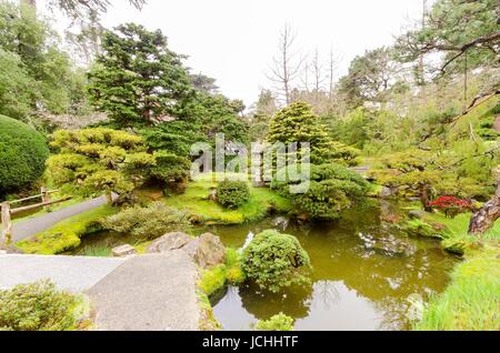 Il giardino giapponese del tè in Golden Gate Park di San Francisco, California, Stati Uniti d'America. Una vista della nativa giapponese e cinese piante e stagno che creano un paesaggio rilassante. Foto Stock