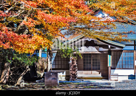 Kyoto, Giappone - 22 Novembre 2013: Enryaku-ji è un monastero Tendai sul Monte Hiei in Otsu, affacciato sul Protocollo di Kyoto Foto Stock