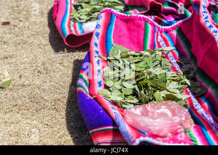 Le foglie di coca in appoggio sulla colorata tessuto tradizionale sull' isola del sole sul lato boliviana del Lago Titicaca Foto Stock