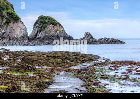 Lee Bay, Ilfracombe, Devon, Inghilterra, Regno Unito Foto Stock