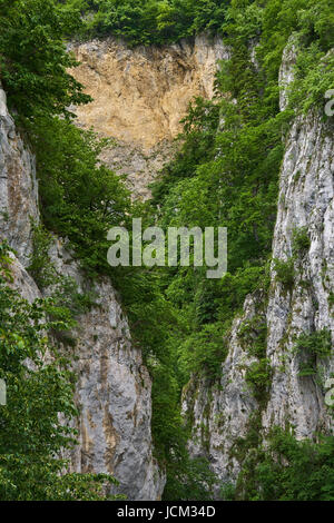 Vista aerea di un profondo canyon con scogliere coperto di boschi Foto Stock