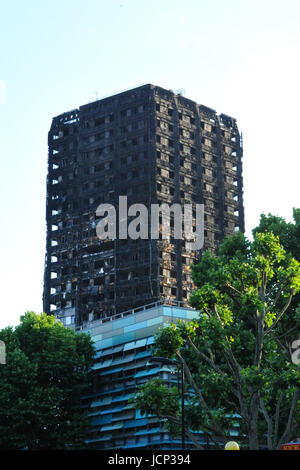 Londra, Regno Unito. 16 Giugno, 2017. I superstiti della torre Grenfell fire, insieme con altri attivisti della comunità, hanno protestato oggi al di fuori degli uffici di Kensington & Chelsea consiglio. Le proteste di massa è stato chiamato a seguito dell'incendio scoppiato in un 24 piani di blocco a torre, contenenti 120 appartamenti nella zona ovest di Londra inizio mercoledì 14 giugno. Almeno 30 persone sono morte nel fuoco, anche in questa figura è probabile che aumenti come forensic lavoro continua. Credito: Michael Preston/Alamy Live News Foto Stock