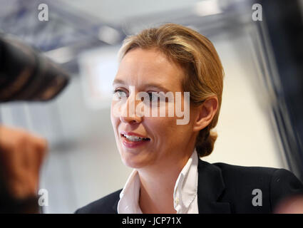 Karlsruhe, Germania. 17 Giugno, 2017. Alice Weidel, capofila delle alternative per la Germania (AFD) partito per la imminente del Bundestag elezioni parlamentari, parla con i giornalisti presso il Baden-Wuerttemberg stato contraente convenzione dell'AfD di Karlsruhe in Germania, 17 giugno 2017. Foto: Uli Deck/dpa/Alamy Live News Foto Stock