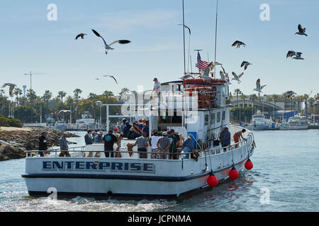 Gabbiani gregge oltre l'impresa come sport Fishemen pulire il loro pesce prima di ritornare alla lunga spiaggia di Porto, California. Foto Stock