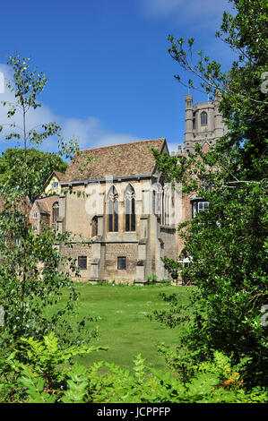 Prima Crauden la cappella nella cattedrale motivi, Ely, Cambridgeshire, England, Regno Unito Foto Stock