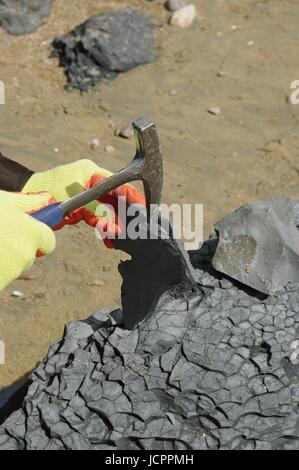 A caccia di fossili a Charmouth Beach, Jurassic Coast, Dorset, Regno Unito. Luglio, 2015. Foto Stock