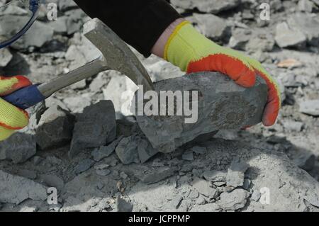 A caccia di fossili a Charmouth Beach, Jurassic Coast, Dorset, Regno Unito. Luglio, 2015. Foto Stock