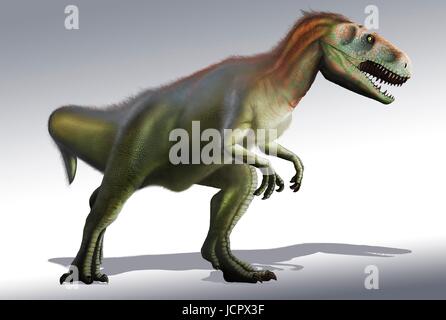 Megalosaurus è genere estinto il mangiar carne dinosauri,theropods,dal Medio giurassico in terra€™s storia,166 milioni di anni fa.It ha vissuto in quello che è oggi il sud dell'Inghilterra.Il primo fossile di dinosauro mai trovata,come molto tempo fa come 1676,era probabilmente un frammento osseo della coscia che apparteneva a Megalosaurus.Questo animale era di dimensioni medie theropod,6 a 7 m di lunghezza con un peso di circa una tonnellata.La comprensione moderna è che megalosaurus potrebbe essere stato coperto di peluria piume,particolarmente lungo il suo ventre indietro. Foto Stock