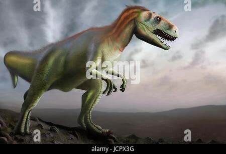 Megalosaurus è genere estinto il mangiar carne dinosauri,theropods,dal Medio giurassico in terra€™s storia,166 milioni di anni fa.It ha vissuto in quello che è oggi il sud dell'Inghilterra.Il primo fossile di dinosauro mai trovata,come molto tempo fa come 1676,era probabilmente un frammento osseo della coscia che apparteneva a Megalosaurus.Questo animale era di dimensioni medie theropod,6 a 7 m di lunghezza con un peso di circa una tonnellata.La comprensione moderna è che megalosaurus potrebbe essere stato coperto di peluria piume,particolarmente lungo il suo ventre indietro. Foto Stock