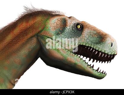 Studio di testa megalosaurus.Megalosaurus è genere estinto il mangiar carne dinosauri,theropods,dal Medio giurassico in terra€™s storia,166 milioni di anni fa.It ha vissuto in quello che è oggi il sud dell'Inghilterra.Il primo fossile di dinosauro mai trovata,come molto tempo fa come 1676,era probabilmente un frammento osseo della coscia che apparteneva a Megalosaurus.Questo animale era di dimensioni medie theropod,6 a 7 m di lunghezza con un peso di circa una tonnellata.La comprensione moderna è che megalosaurus potrebbe essere stato coperto di peluria piume,particolarmente lungo il suo ventre indietro. Foto Stock