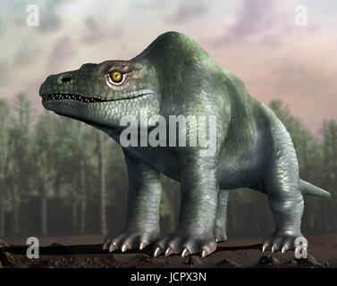 Megalosaurus è genere estinto il mangiar carne dinosauri,theropods,dal Medio giurassico in terra di storia,166 milioni di anni fa.It ha vissuto in quello che è oggi il sud dell'Inghilterra.Il primo fossile di dinosauro mai trovata,come molto tempo fa come 1676,era probabilmente un frammento osseo della coscia che apparteneva a Megalosaurus.Questo animale era di dimensioni medie theropod,6 a 7 m di lunghezza con un peso di circa una tonnellata.Questa illustrazione mostra animali come era stato originariamente immaginato di apparire,indietro nel diciannovesimo secolo.L'immagine si basa famose statue animale in London Crystal Palace Park.Sappiamo ora che ha camminato due gambe come altri theropods. Foto Stock