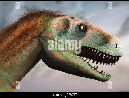 Studio di testa megalosaurus.Megalosaurus è genere estinto il mangiar carne dinosauri,theropods,dal Medio giurassico in terra€™s storia,166 milioni di anni fa.It ha vissuto in quello che è oggi il sud dell'Inghilterra.Il primo fossile di dinosauro mai trovata,come molto tempo fa come 1676,era probabilmente un frammento osseo della coscia che apparteneva a Megalosaurus.Questo animale era di dimensioni medie theropod,6 a 7 m di lunghezza con un peso di circa una tonnellata.La comprensione moderna è che megalosaurus potrebbe essere stato coperto di peluria piume,particolarmente lungo il suo ventre indietro. Foto Stock