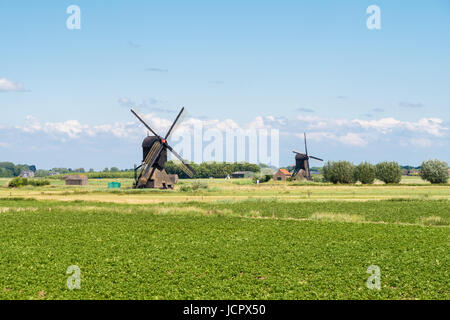 Polder con due montante cavo mulini a vento vicino Almkerk in Brabant, Paesi Bassi Foto Stock