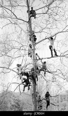 John Kerry parla ai manifestanti dell'anti-guerra - qui ascoltando da un albero sul Campidoglio degli Stati Uniti durante le massicce manifestazioni contro la guerra del Vietnam. Foto Stock