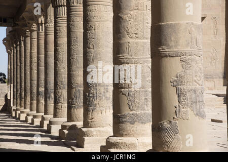 Colonne scolpite del Tempio di Philae. Isola di Agilika, Egitto il Tempio di Philae è stata smontata e rimontata (sull isola di Agilika circa 550 metri dalla sua origi Foto Stock