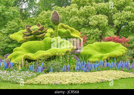 Fiori che sbocciano in cinese il parco giardino di Hangzhou, Cina Foto Stock