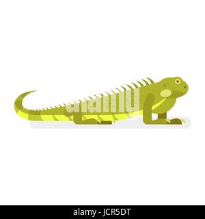 Vettore stile piatto illustrazione di iguana. Icona per il web. Isolato su sfondo bianco. Illustrazione Vettoriale