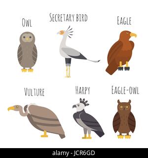 Set di vettore di coloratissimi uccelli rapaci icone. Il gufo, avvoltoio, Eagle e arpia. In stile appartamento. Illustrazione Vettoriale