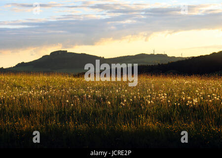 Campo Blowball al set di Sun Foto Stock