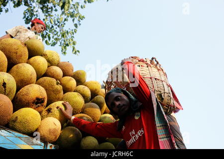 Jackfruits sono il carico sul carrello, Rangamati, Chittagong, Bangladesh. Foto Stock