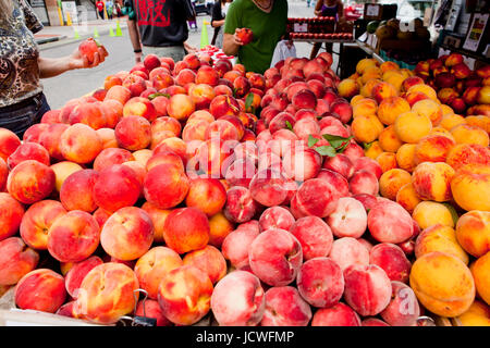 Vari tipi di pesche in vendita su un mercato degli agricoltori - Washington DC, Stati Uniti d'America Foto Stock