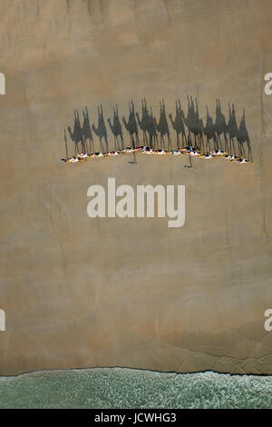 Camel train sulla spiaggia di Cable Beach, Broome, Australia occidentale Foto Stock