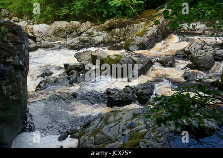 Afon Conwy in ondata dopo prolungata piovosità.- Il fiume Conway nelle vicinanze Conway Falls, Betws y Coed nel Galles del Nord. Foto Stock