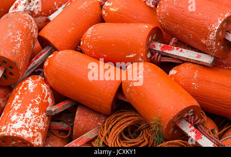 Arancione boe di aragosta Foto Stock