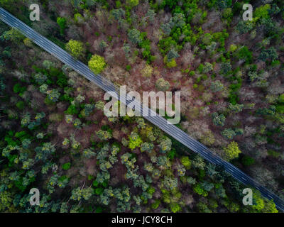 Andando su strada attraverso la foresta Paesaggio, Vista Aerea Foto Stock