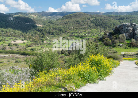 Paramali, Prastio Avdimou, Limassol District, Pachna, Monti Troodos, Cipro Foto Stock