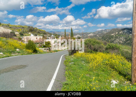 Fiori selvaggi vicino Paramali, Prastio Avdimou, Limassol District, Pachna, Monti Troodos, Cipro Foto Stock