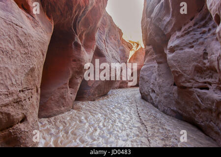 Interno del Daino Slot Gulch Canyon. Foto Stock