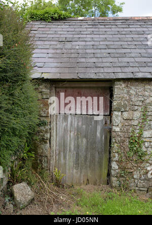 Edificio in pietra con porta di legno ruvida e tetto in ardesia e. Hedgerow accroaching nel villaggio di Llanhaden pembrokeshire Galles sudoccidentale regno unito Foto Stock