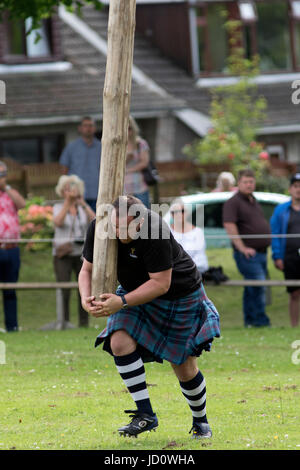 Oldmeldrum, Scotland, Regno Unito. 17 Giugno, 2017. Un concorrente nella caber toss, una musica tradizionale scozzese Highland Games evento, in esecuzione con il caber. Credito: AC Immagini/Alamy Live News Foto Stock