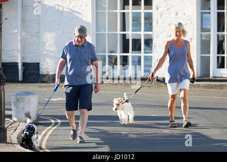 I visitatori del popolare destinazione balneare e villaggio di pescatori di Padstow in Cornovaglia Inghilterra durante una mattina d'estate Foto Stock