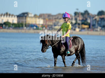 I piloti e i loro cavalli e pony rinfrescarvi dal weekend di calore nella Baia di Weymouth Dorset, UK Credit: Finnbarr Webster/Alamy Live News Foto Stock