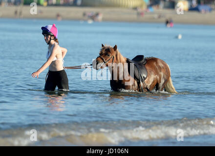 I piloti e i loro cavalli e pony rinfrescarvi dal weekend di calore nella Baia di Weymouth Dorset, UK Credit: Finnbarr Webster/Alamy Live News Foto Stock